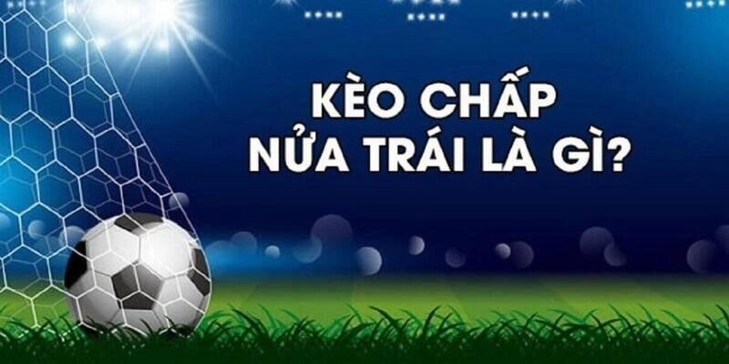 KÈO 1/2 LÀ GÌ? – KIẾN THỨC CẦN GHI NHỚ TỪ CHUYÊN GIA